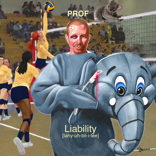 Prof - Liability CD
