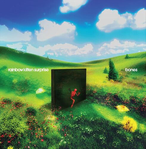 Rainbow Kitten Surprise - Bones CD (Softpack)