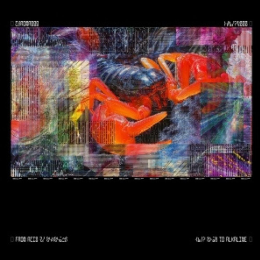 Bicep - Chroma 000 - (Vinyl LP)