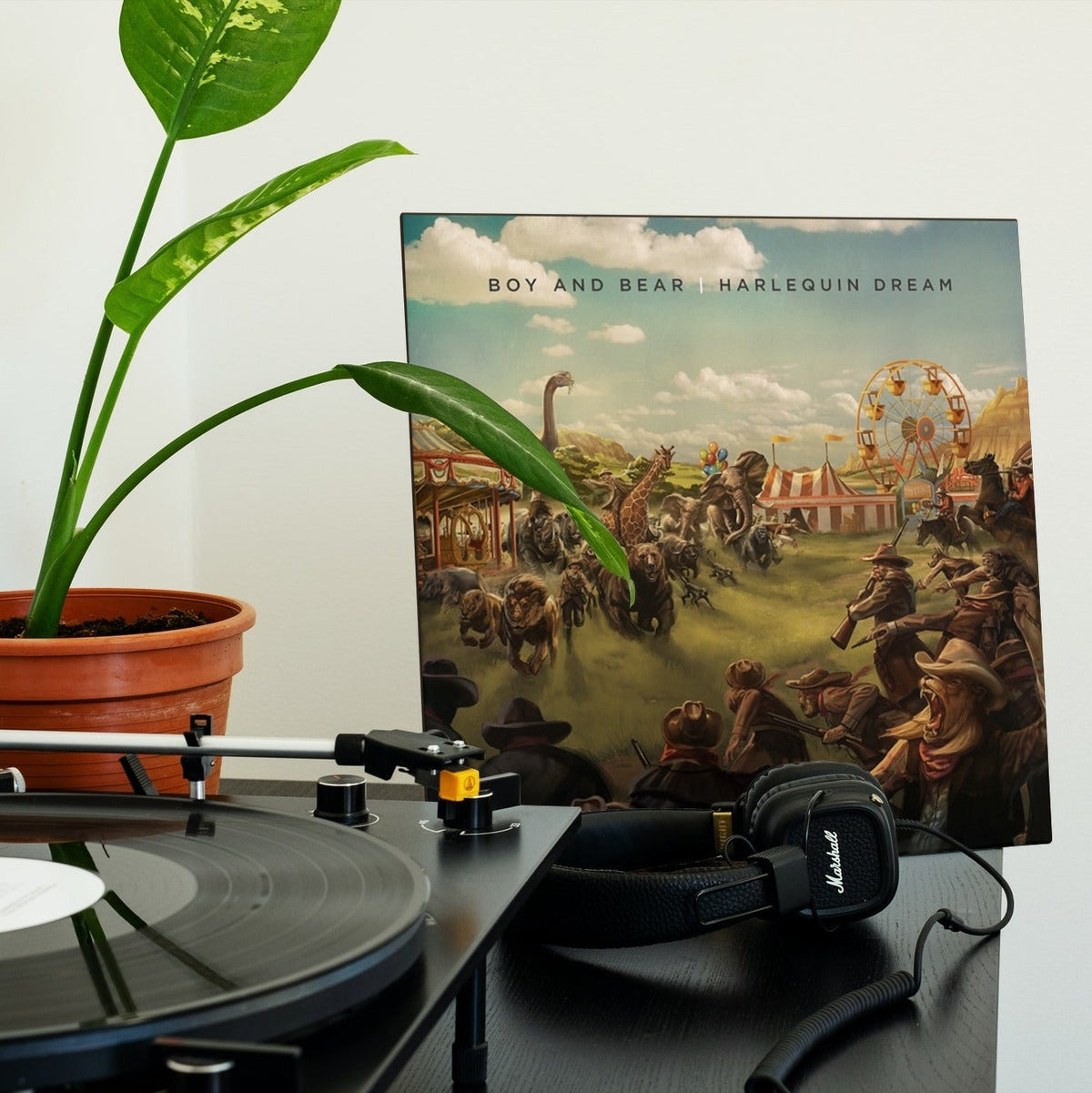 Boy & Bear - Harlequin Dream - (Vinyl LP)