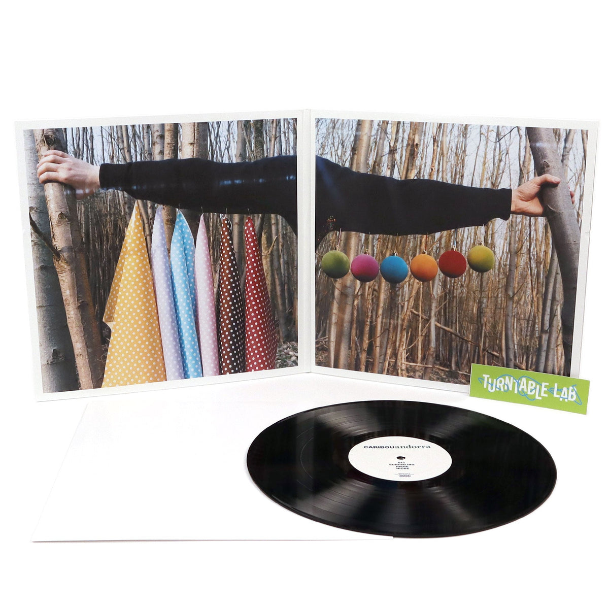 Caribou: Andorra (180g) {Vinyl LP}