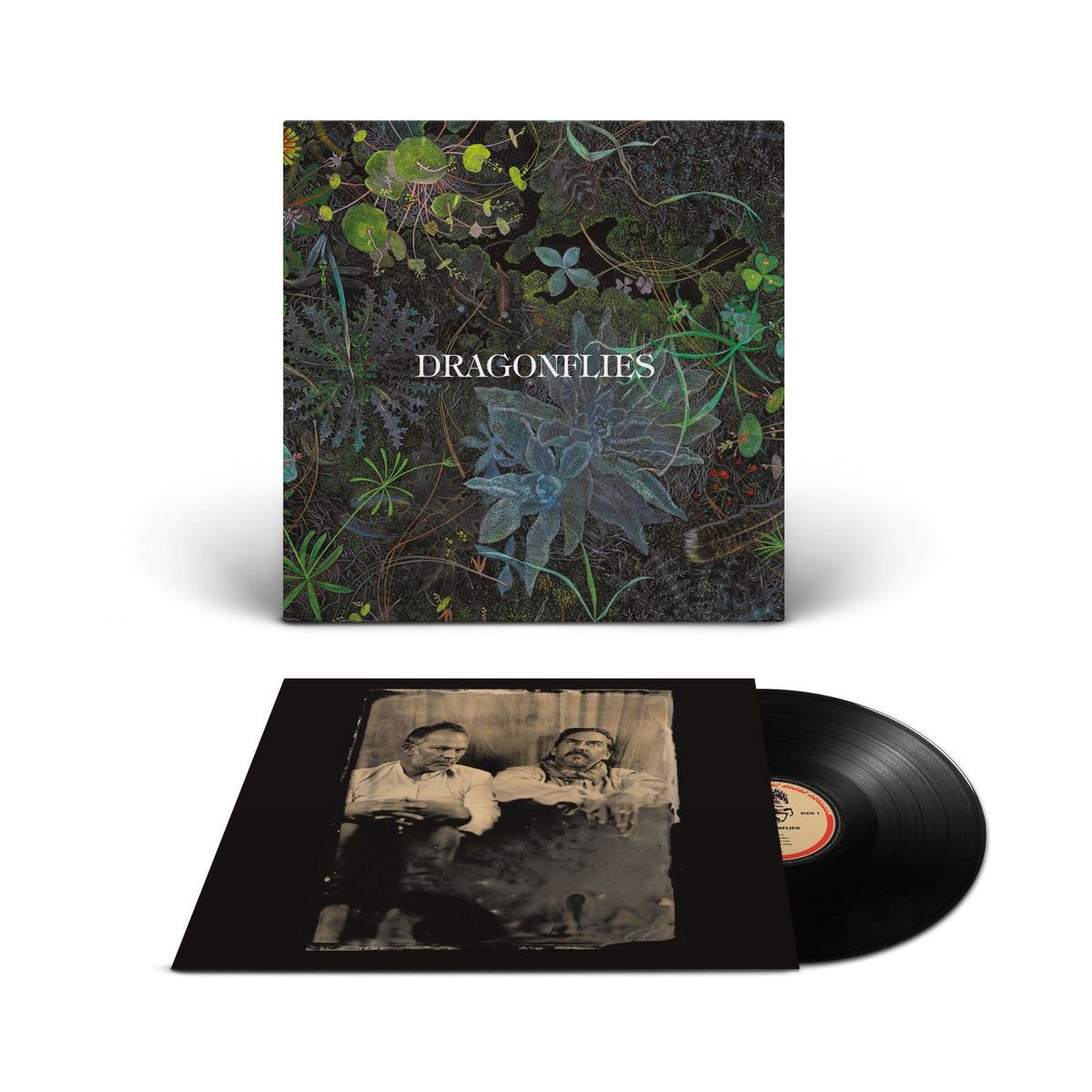 Dragonflies – Dragonflies - Black 【Vinyl LP 】