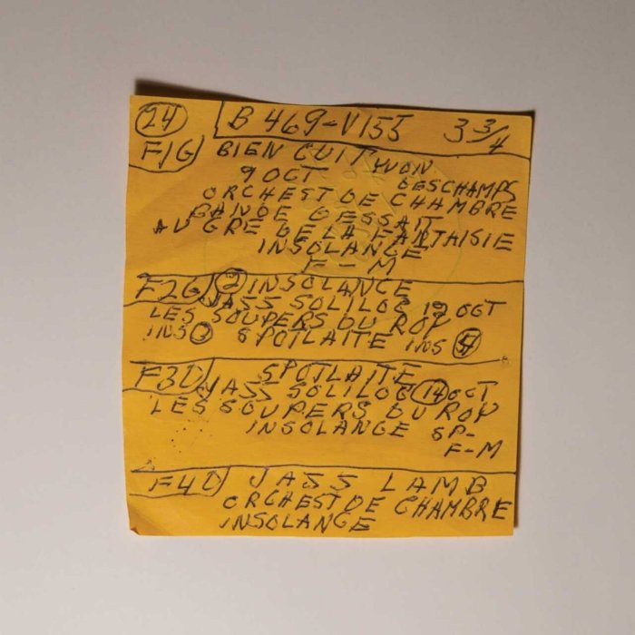 Mac Demarco - Here Comes The Cowboy Demos - 【Vinyl LP 】