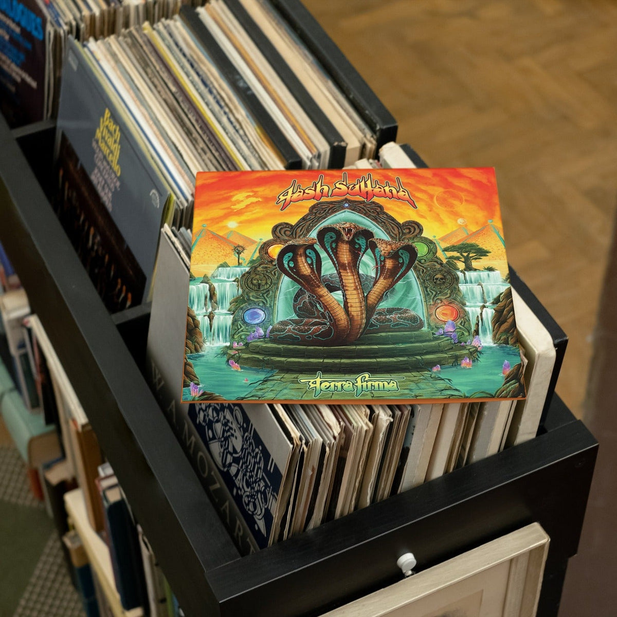 Tash Sultana - Terra Firma - Red (Vinyl LP)
