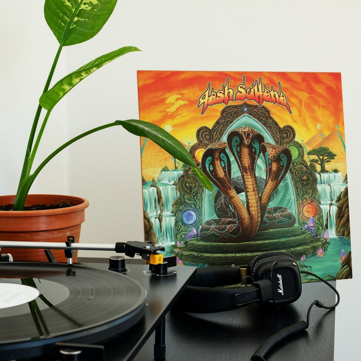 Tash Sultana - Terra Firma - Red (Vinyl LP)