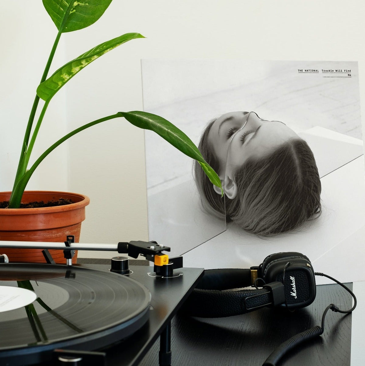 The National - Trouble Will Find Me - 【Vinyl LP 】