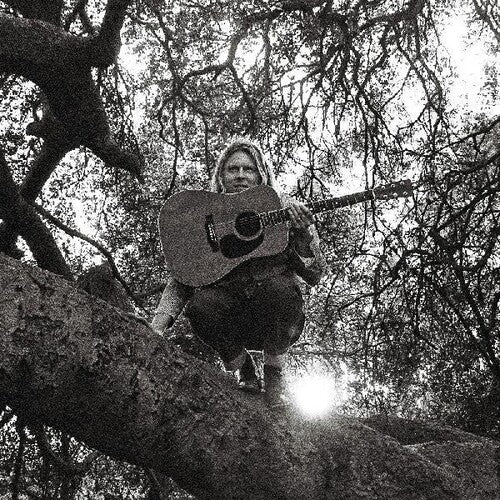 Ty Segall - Hello Hi LP