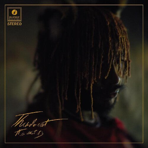 Thundercat - It Is What It Is CD (Softpak)