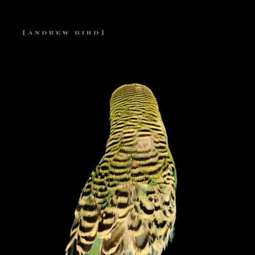 Andrew Bird - Armchair Apocrypha LP