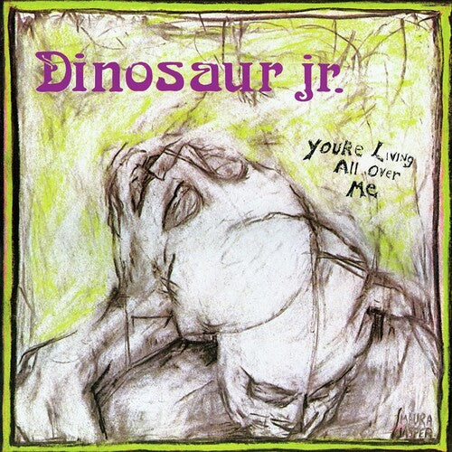 Dinosaur Jr. - You're Living All Over Me CD (Softpak)