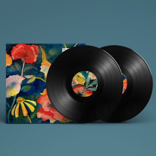 Adrianne Lenker - Songs And Instrumentals - 【Vinyl LP 】