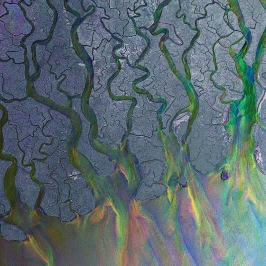 Alt-J - An Awesome Wave - (Vinyl LP)
