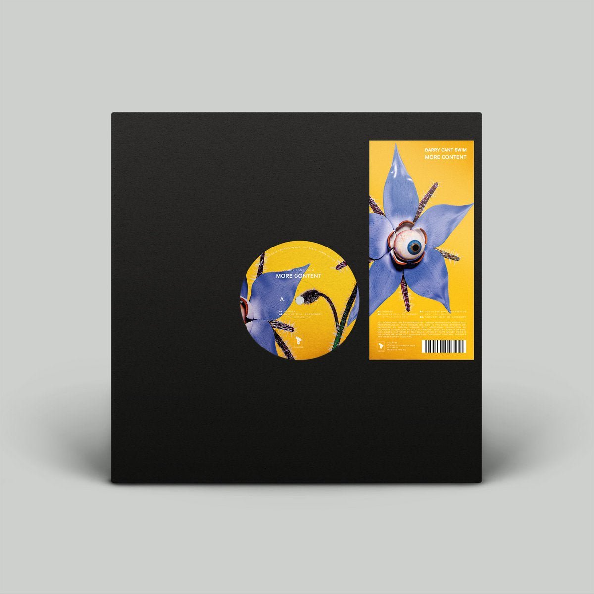 Barry Can't Swim - More Content - Vinyl EP Record