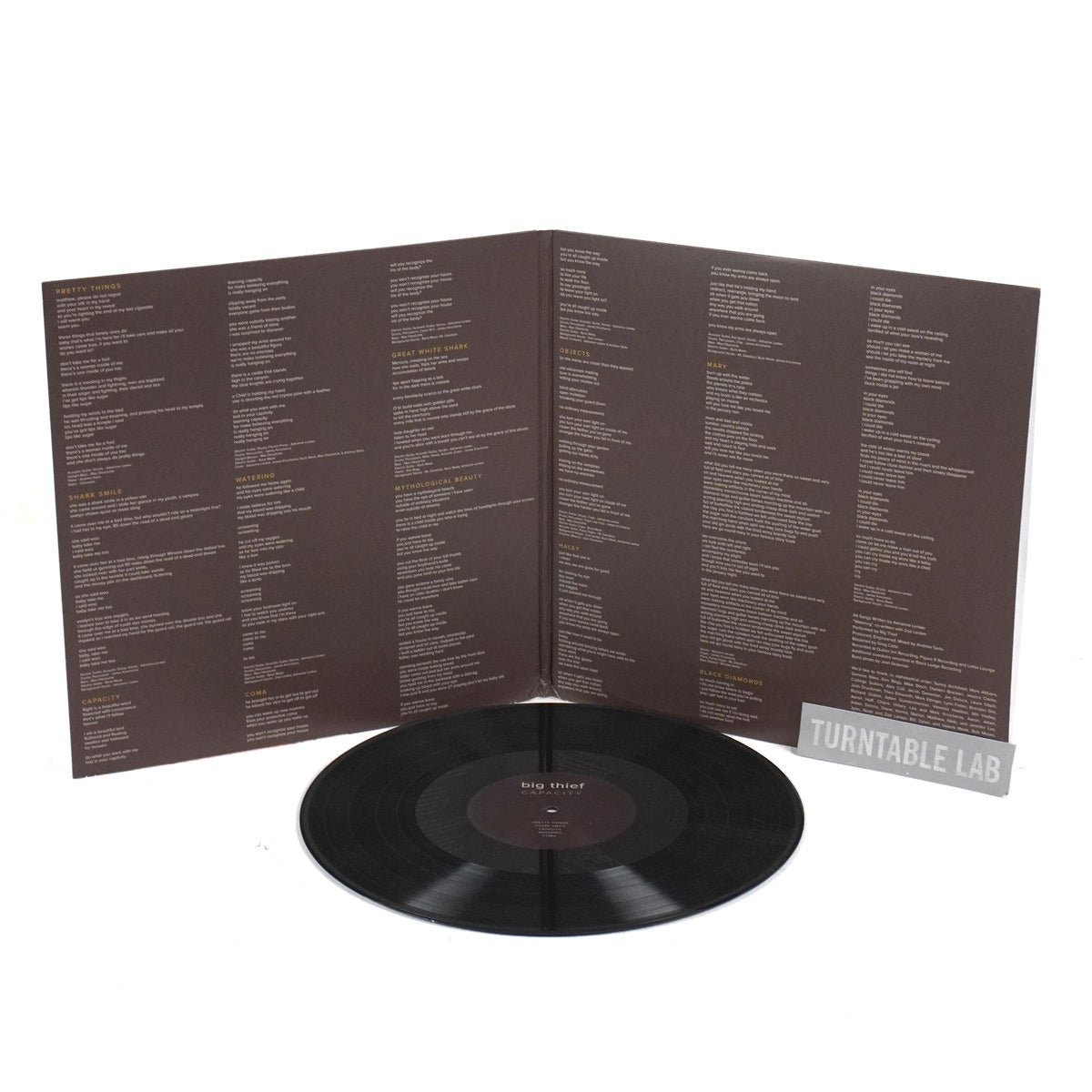 Big Thief: Capacity {Vinyl LP}