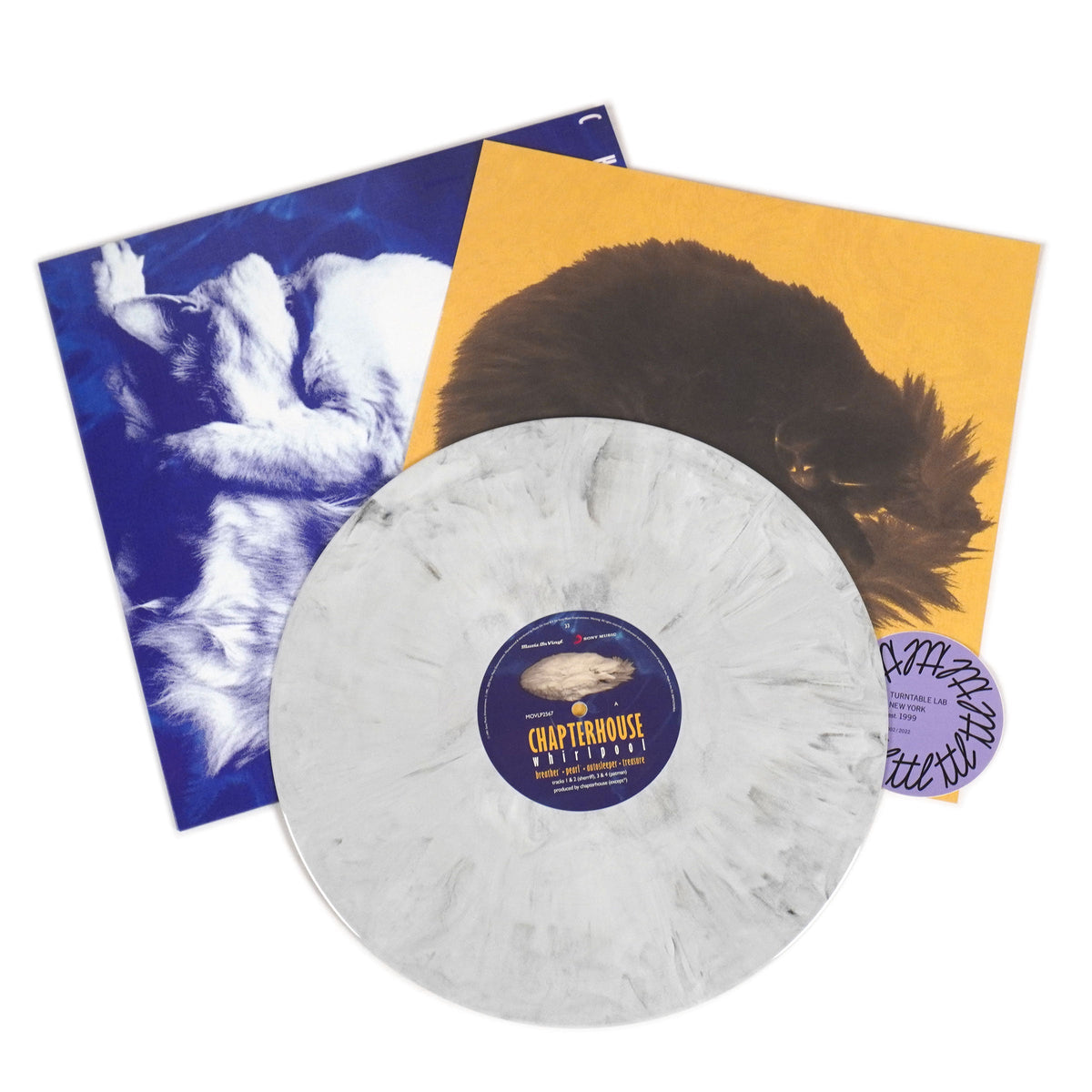 Chapterhouse: Whirlpool (180g, Marble Colored Vinyl) {Vinyl LP}