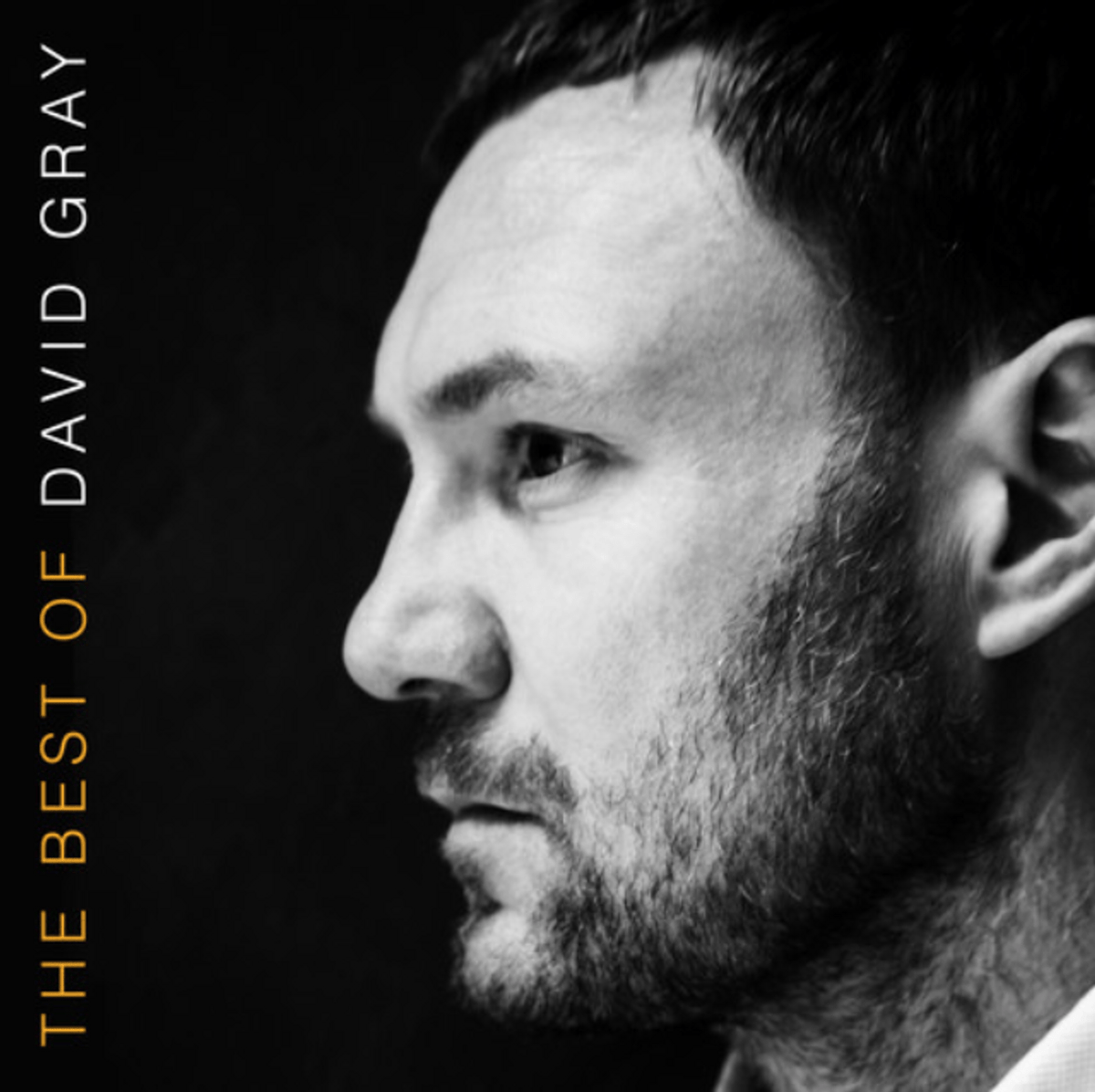 David Gray ‎- The Best Of David Gray - (Vinyl LP)