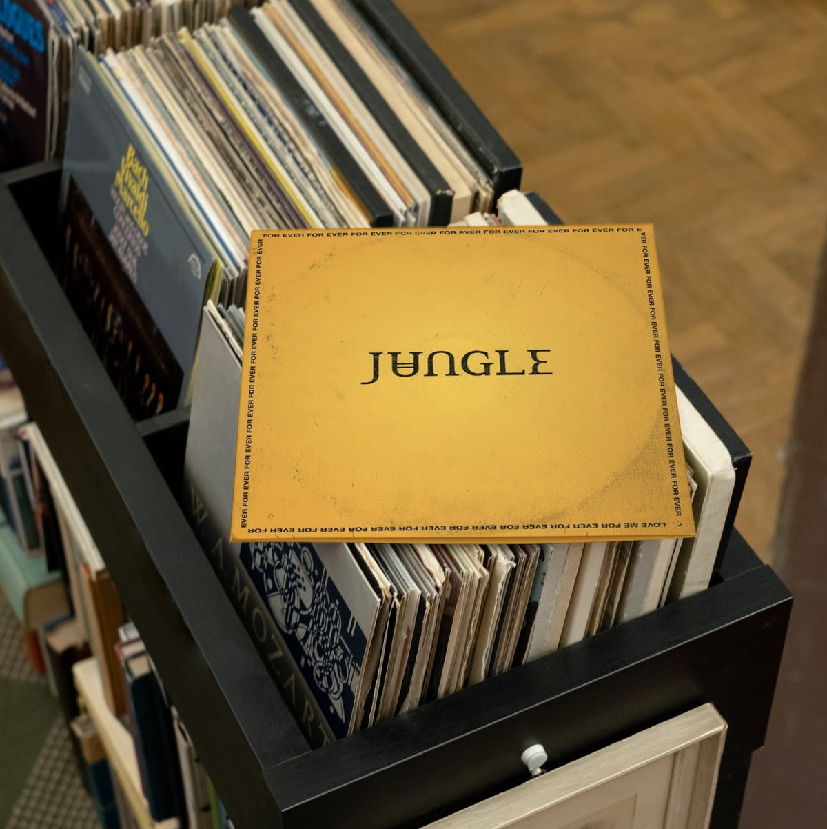 Jungle - For Ever - (Vinyl LP)