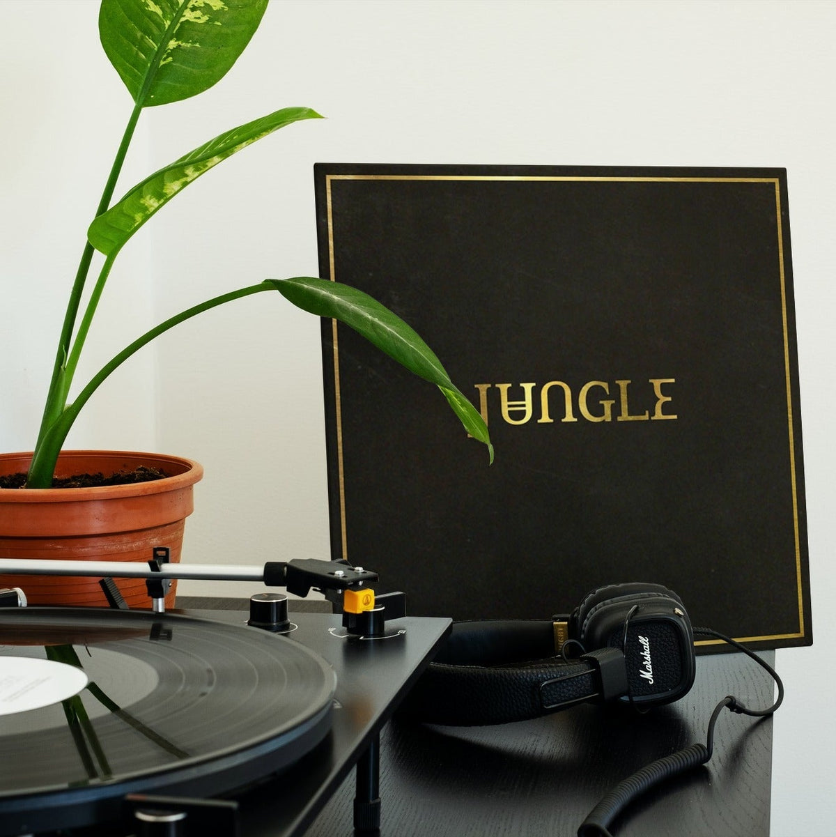 Jungle - Jungle - (Vinyl LP)