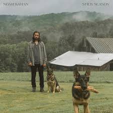 Noah Kahan - Stick Season -  Chestnut Brown (Vinyl LP)