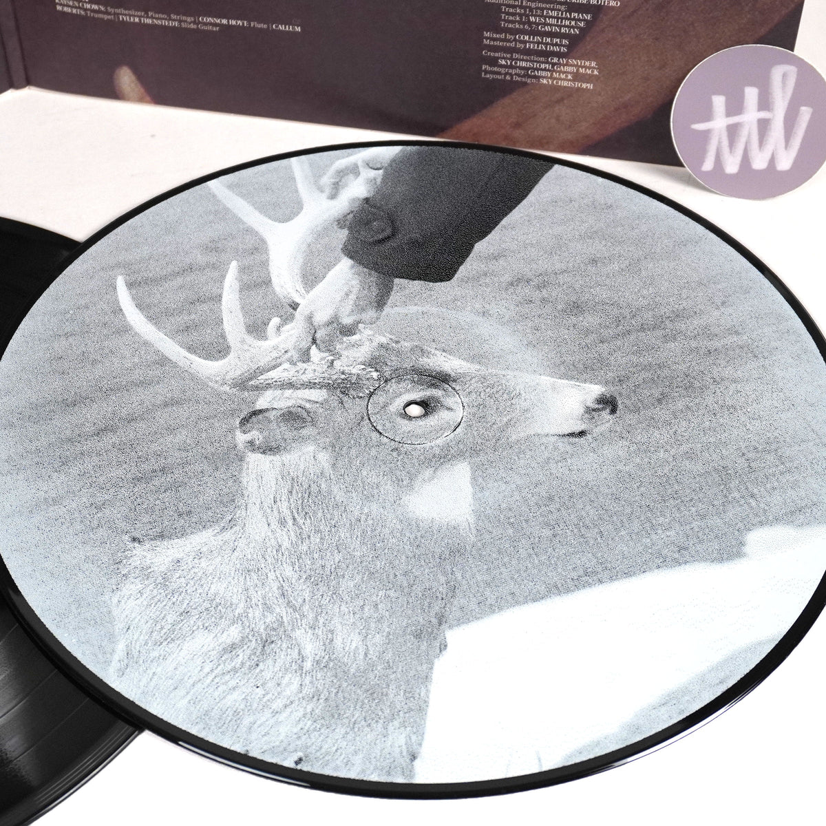 Racing Mount Pleasant: Racing Mount Pleasant {Vinyl LP}