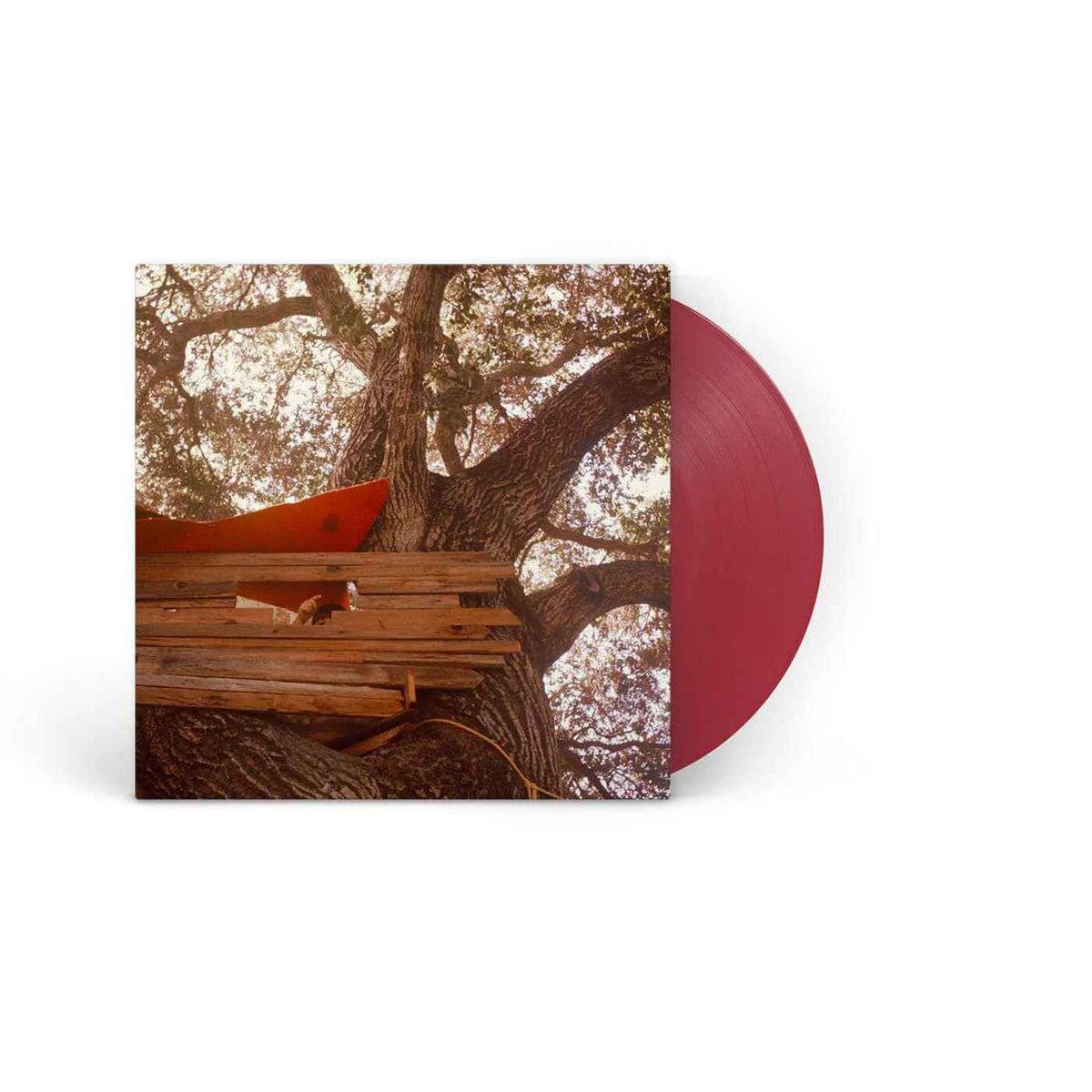 The Backseat Lovers - Waiting To Spill (Anniversary Edition) - 【Vinyl LP 】