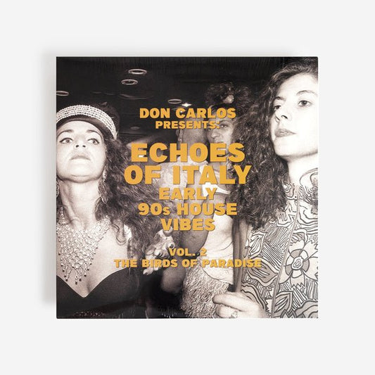 Various Artists - Don Carlos: Echoes Of Italy (Early 90s House Vibes) Volume 2: The Birds Of Paradise - (Vinyl LP)