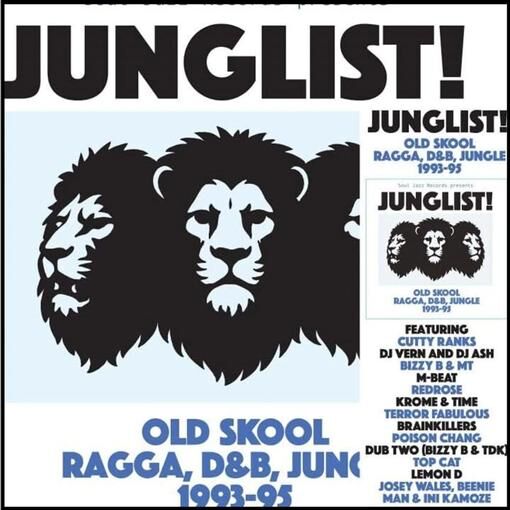 Various Artists - Junglist!: Old Skool Ragga D&B Jungle 1993-95 - (Vinyl LP)