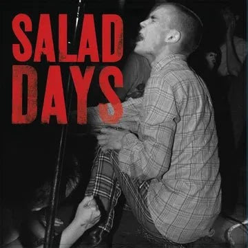 Various Artists - Salad Days: Music From The Documentary Film (RSD  2026 - 【Vinyl LP 】