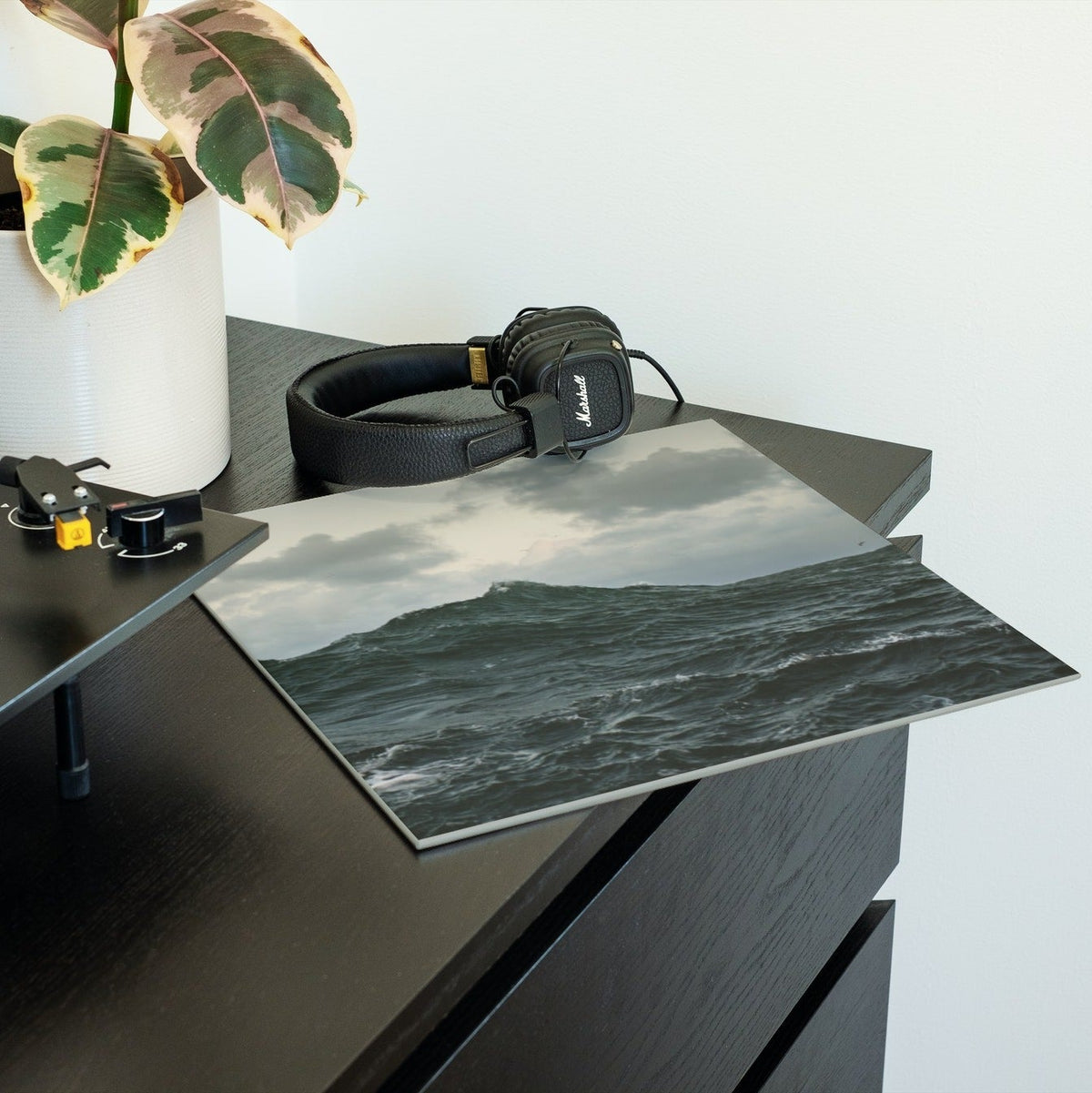 Volcano Choir - Repave - 【Vinyl LP 】